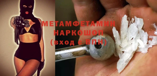 шишки Тында