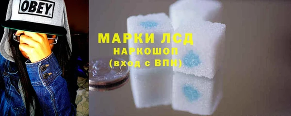 шишки Тында