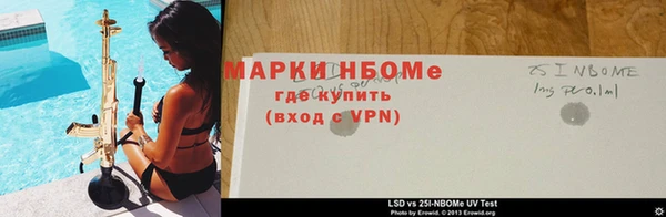 шишки Тында