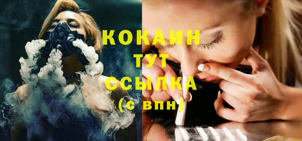 шишки Тында