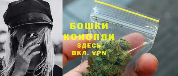 шишки Тында