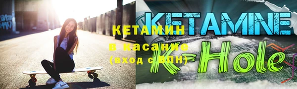 шишки Тында