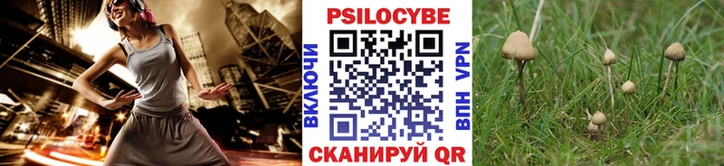 купить наркотики сайты  Мостовской  Галлюциногенные грибы мицелий 